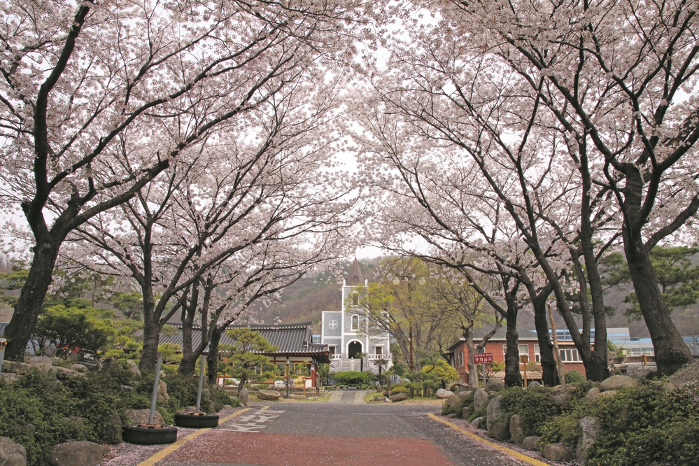 문산성당 사진