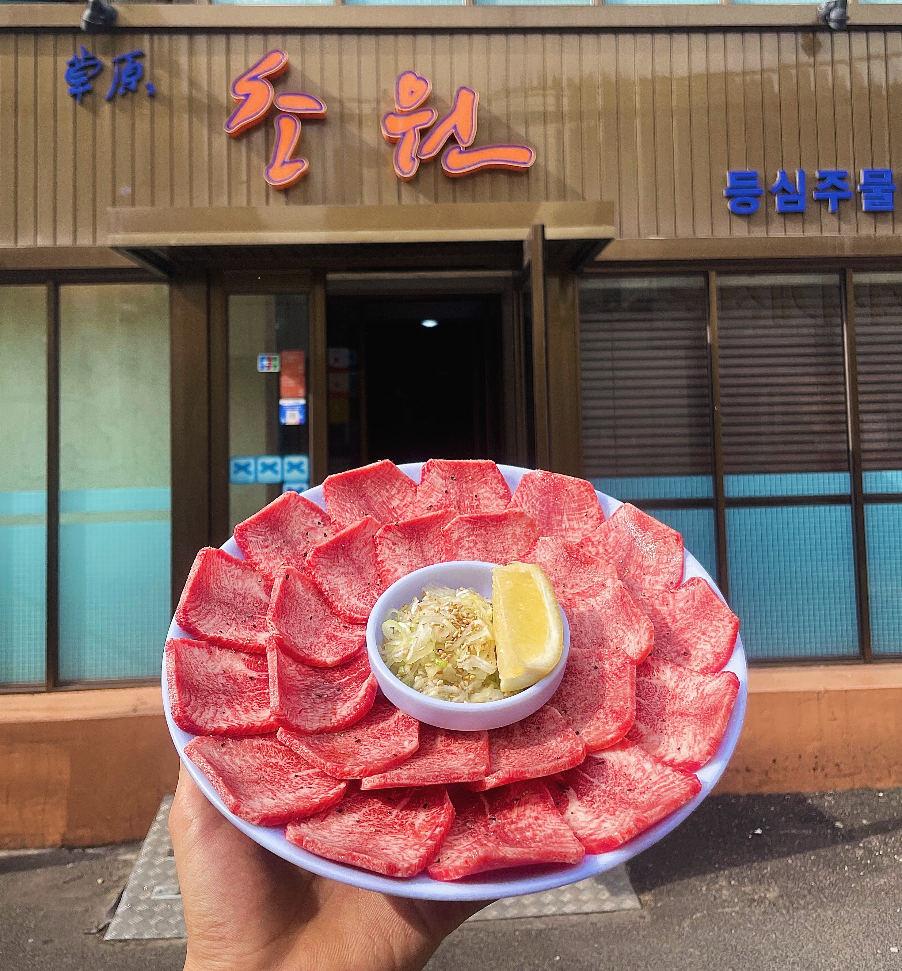 초원 사진 2