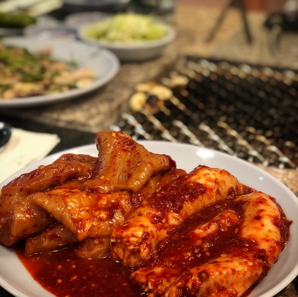 초원 사진 5