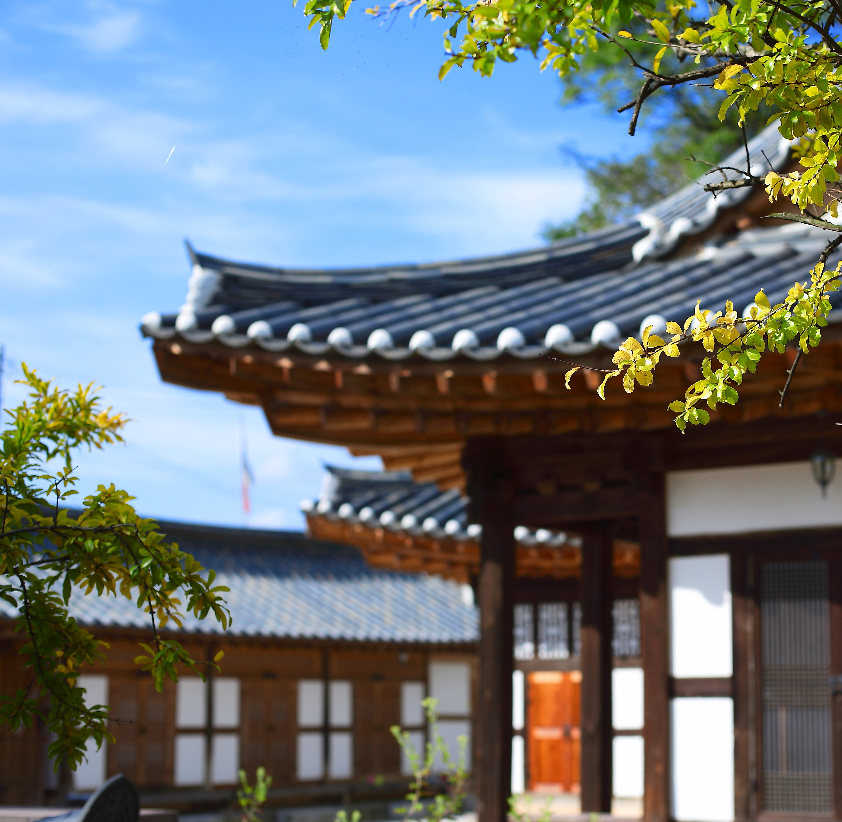 전주 한옥마을 사진 1