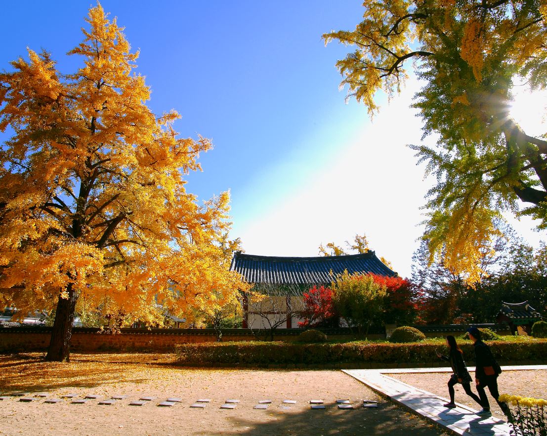 전주 한옥마을 사진 4