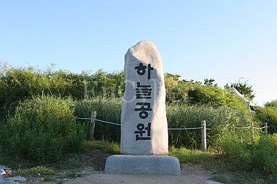 하늘공원 사진 3