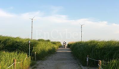 하늘공원 사진 5