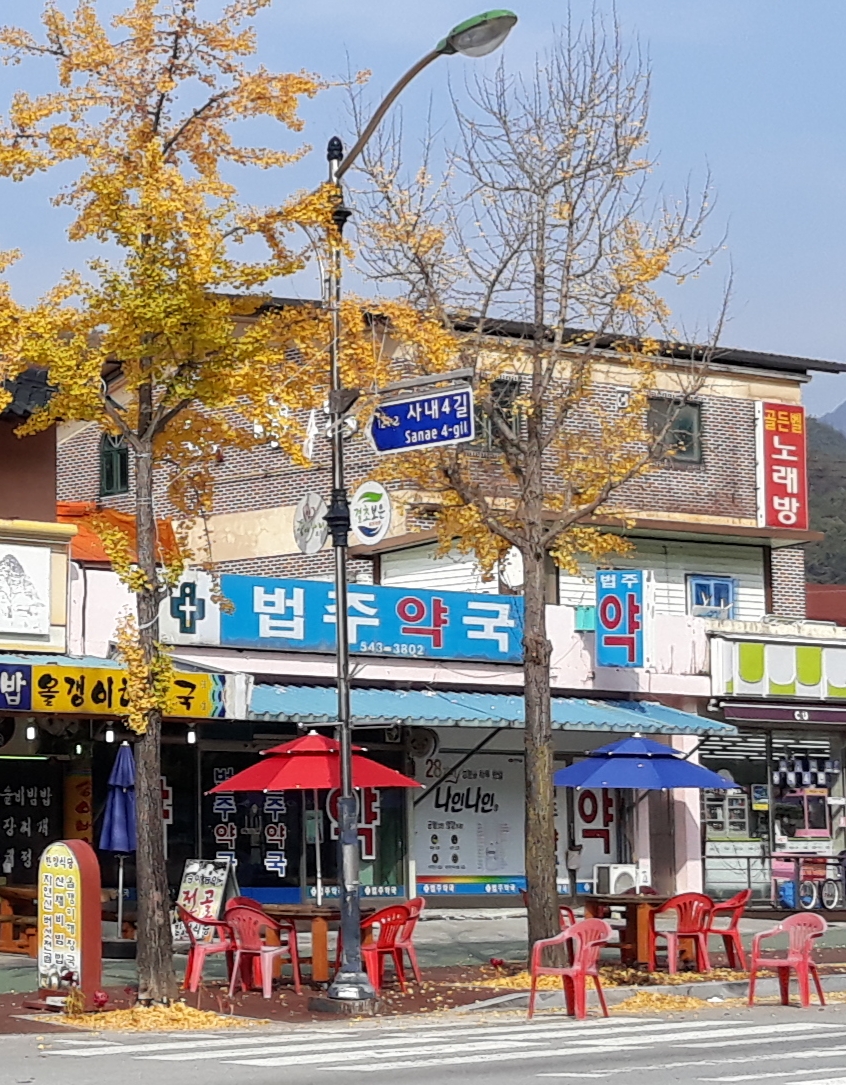 법주약국 사진 1