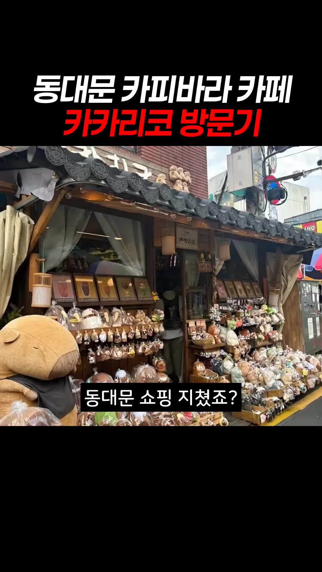 카페 카카리코 사진 2