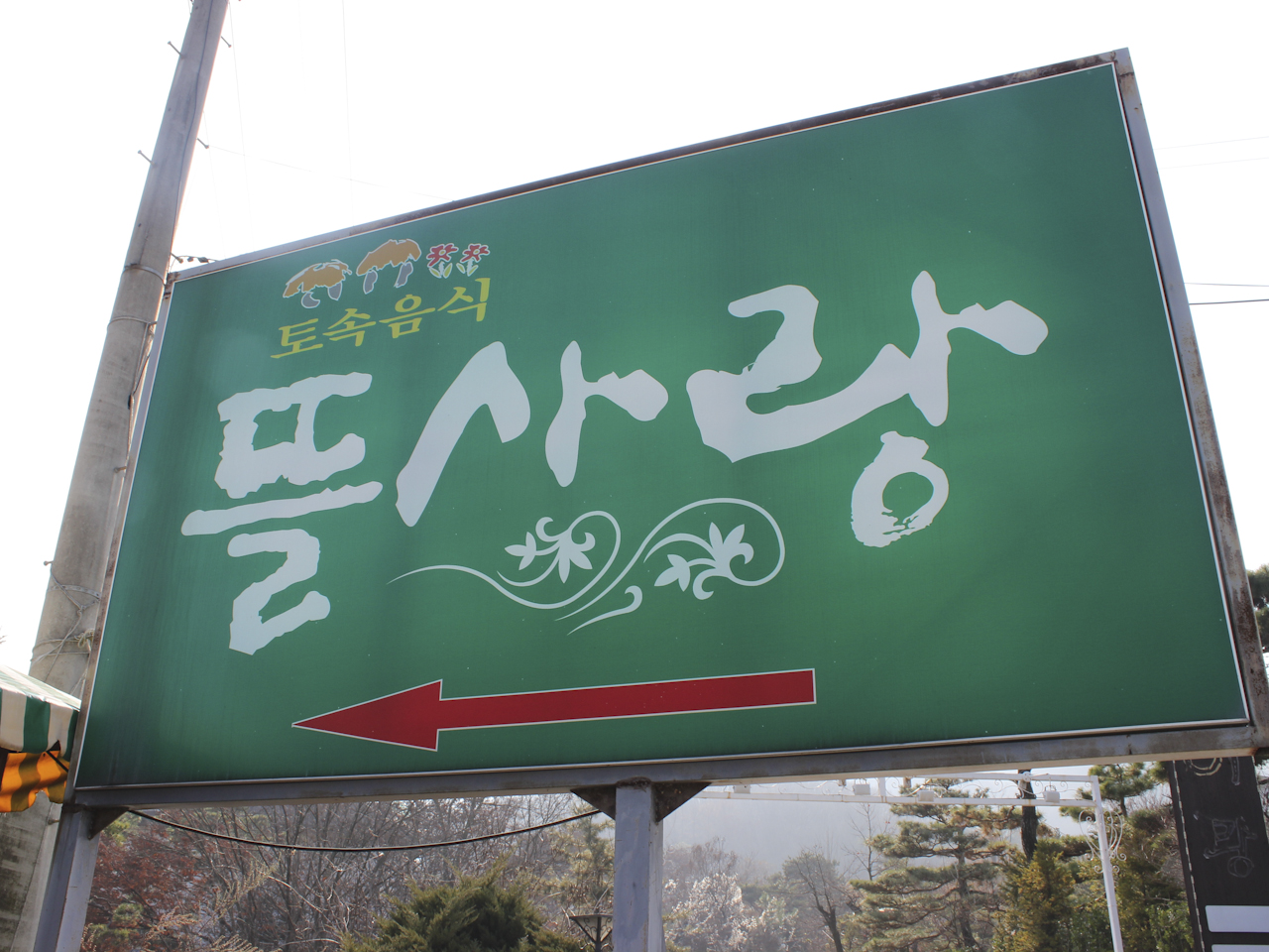 뜰사랑 사진
