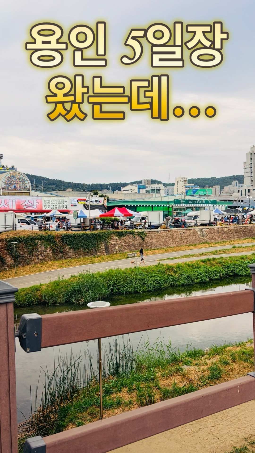 용인5일장 사진 3