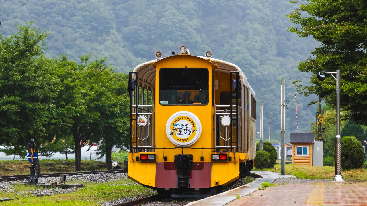 정선레일바이크 사진