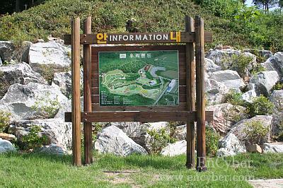 용인농촌테마파크 사진