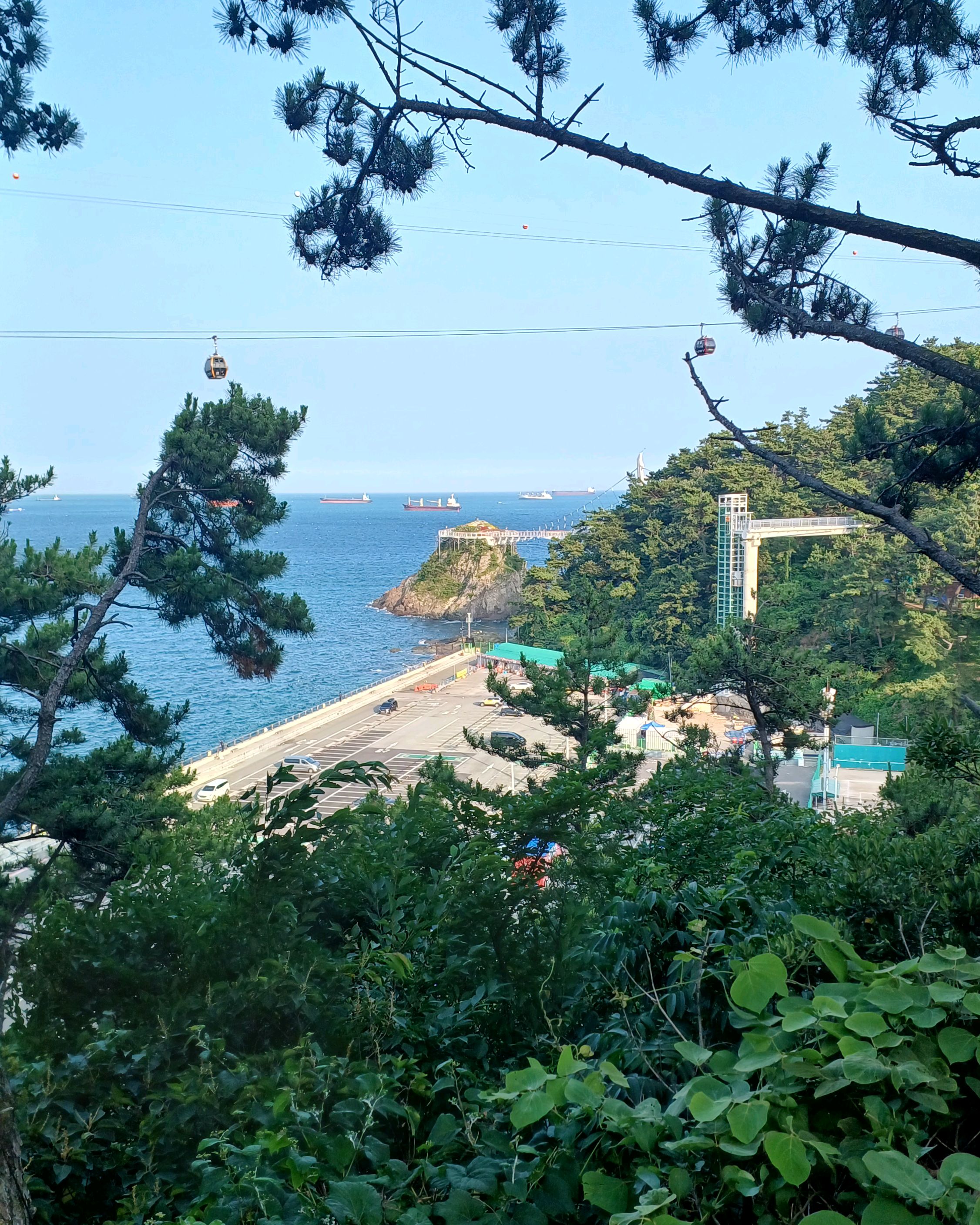 암남공원 사진 4
