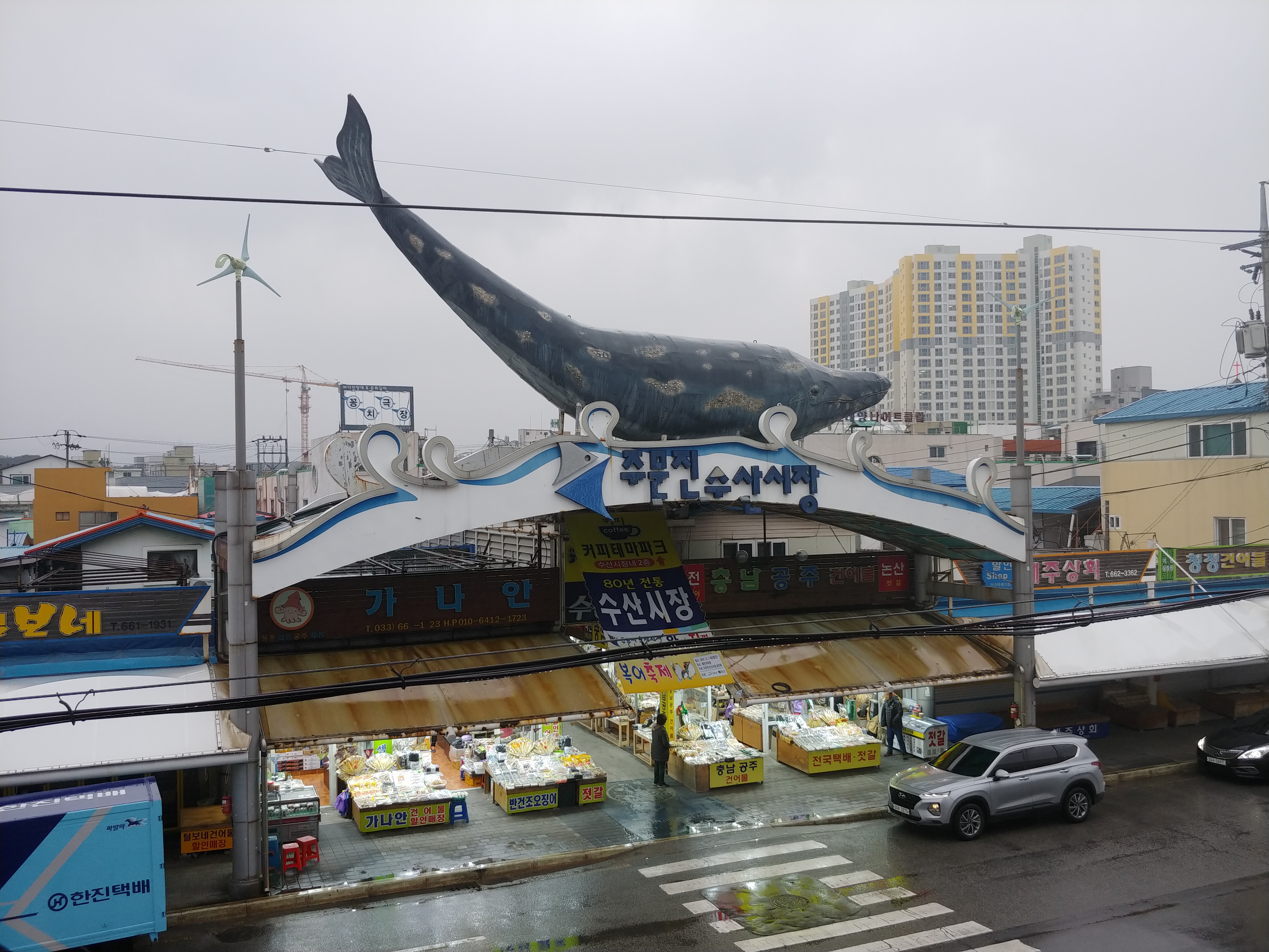 주문진수산시장 사진 3