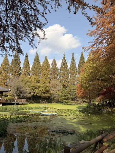 경상남도수목원 사진 5