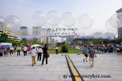 광화문광장 사진 5