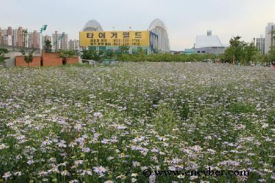 상동호수공원 사진 5