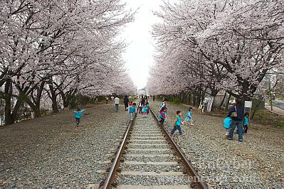 경화역 간이역 사진