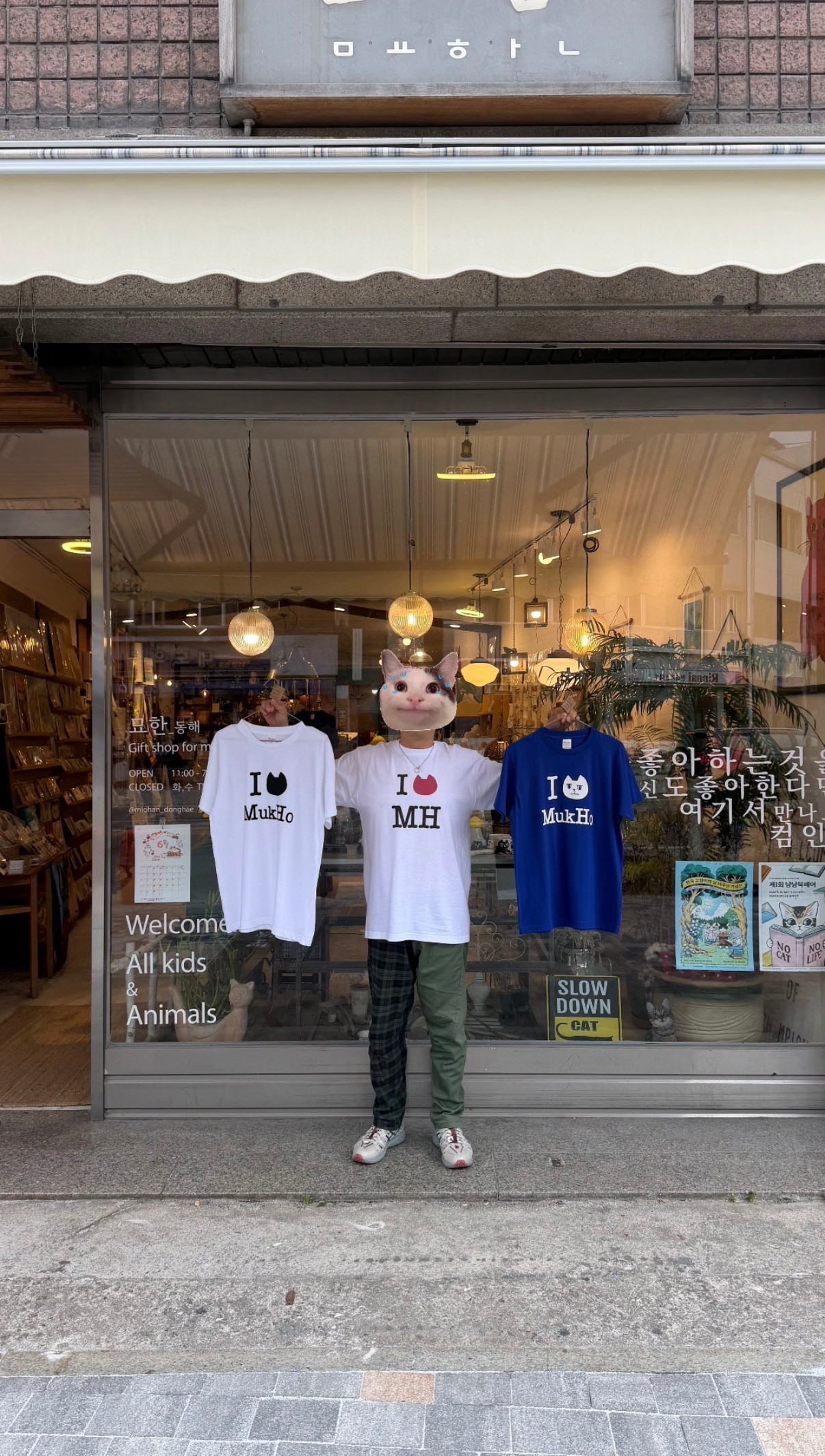 묘한 동해 사진 4