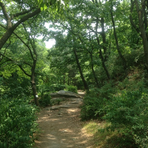 백사실계곡 사진 1