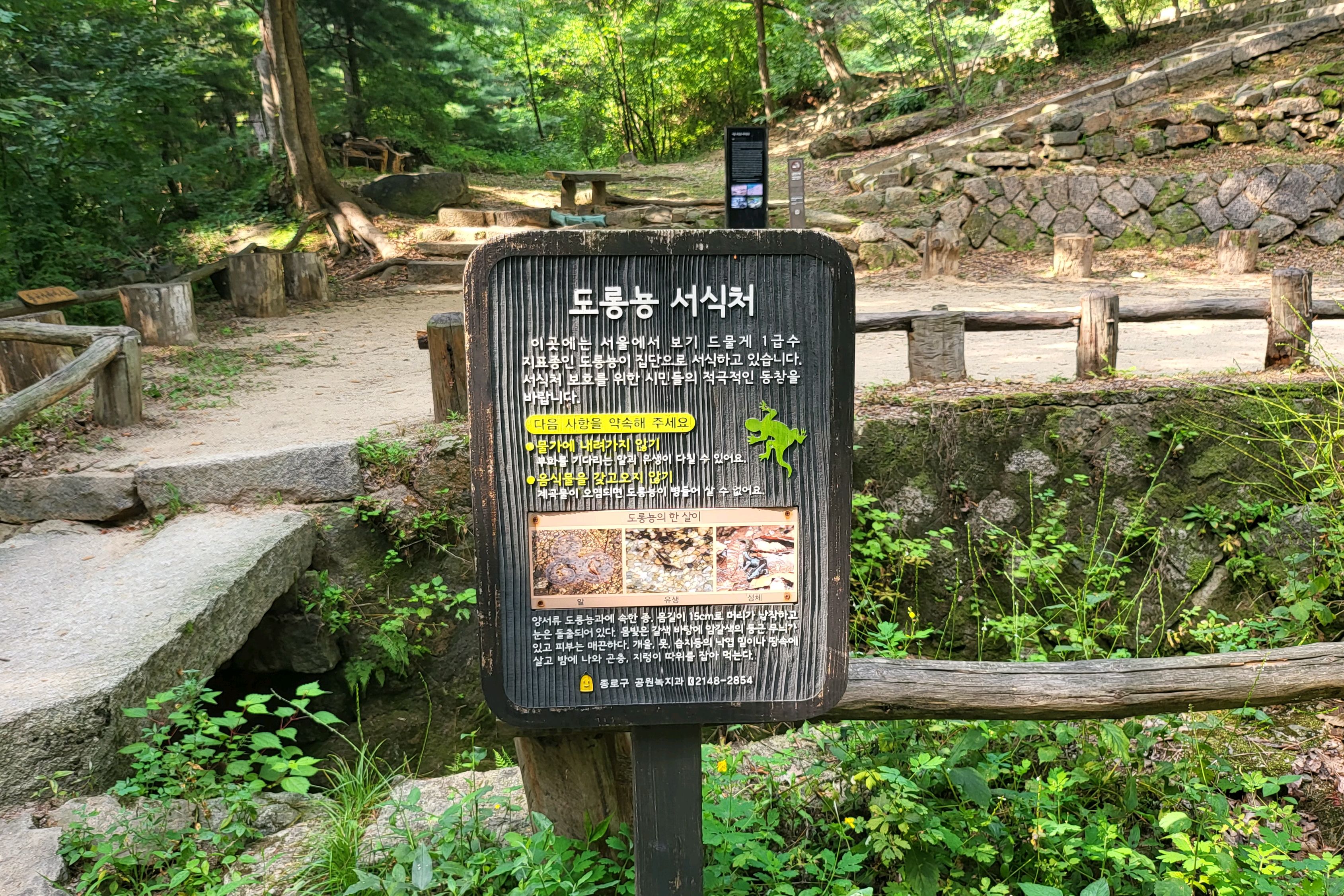 백사실계곡 사진 5