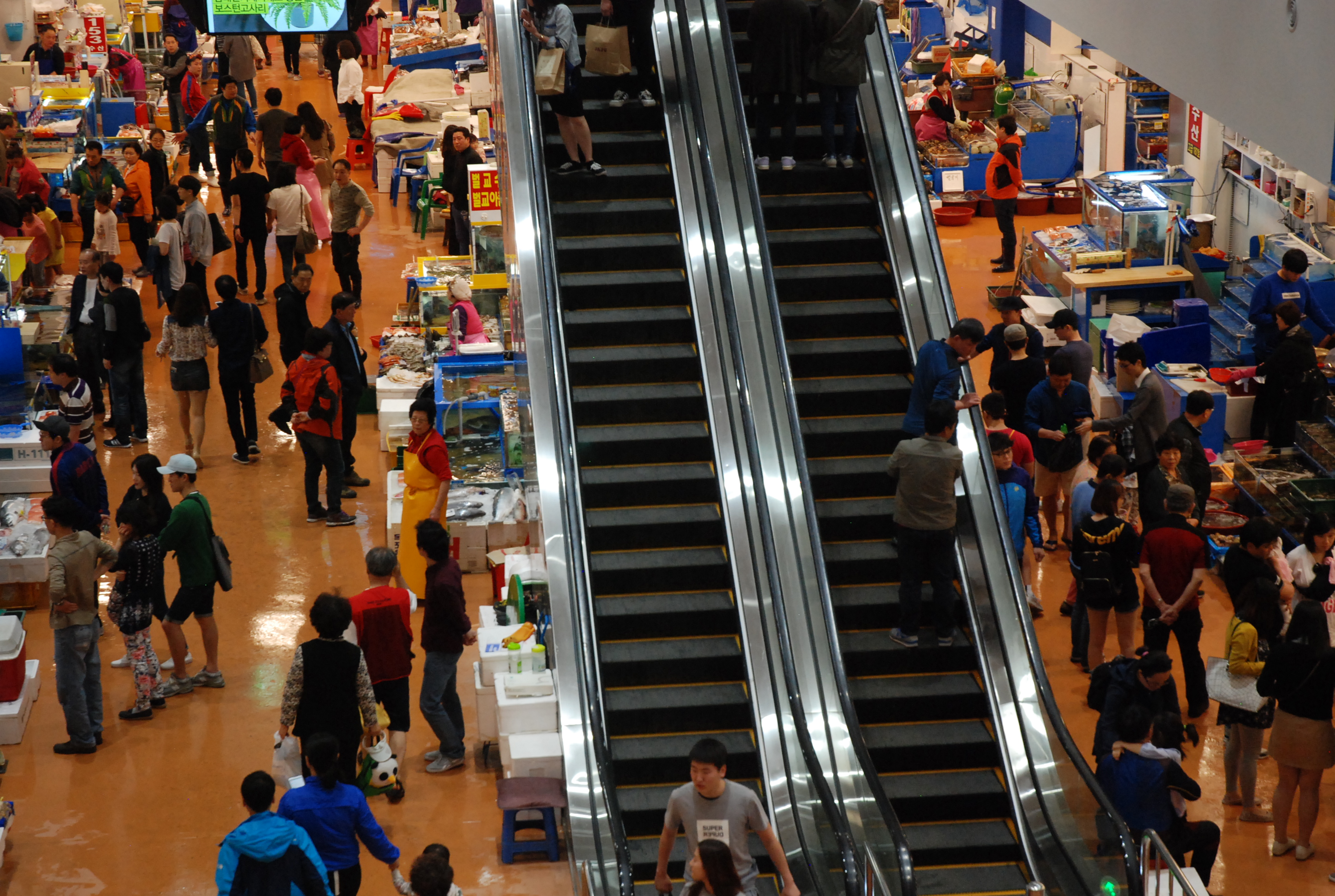 노량진수산물도매시장 사진 2