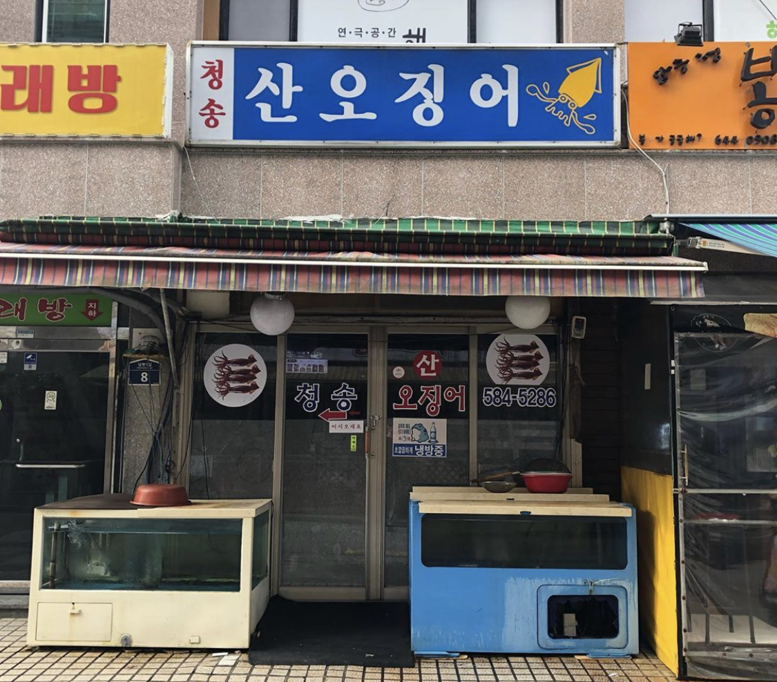 청송산오징어 사진 2