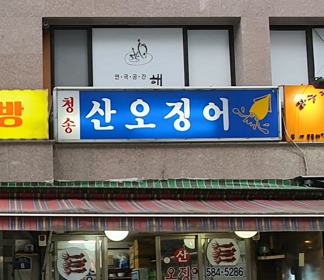 청송산오징어 사진 3