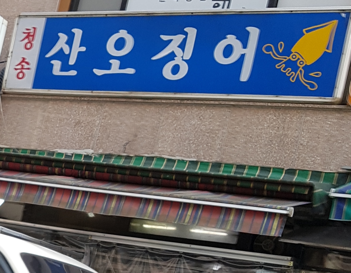 청송산오징어 사진 4