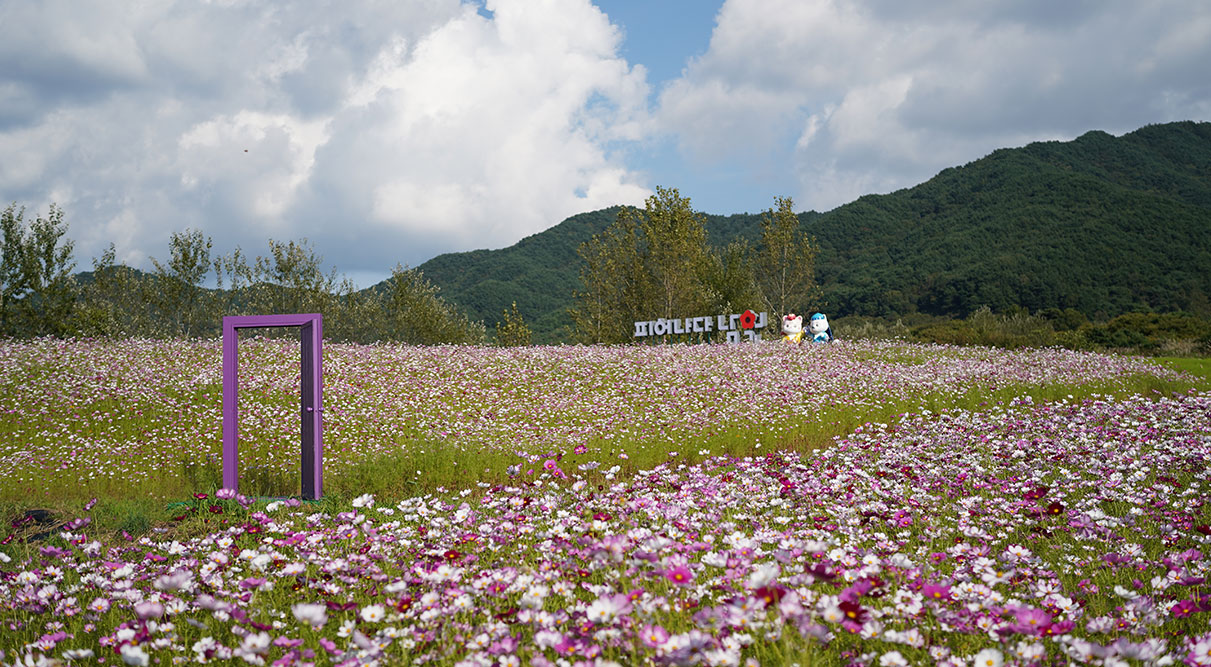 지리산허브밸리 사진 2