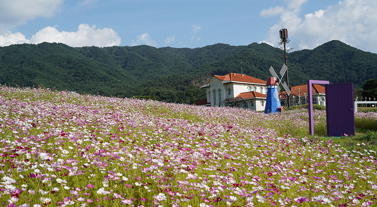 지리산허브밸리 사진 3