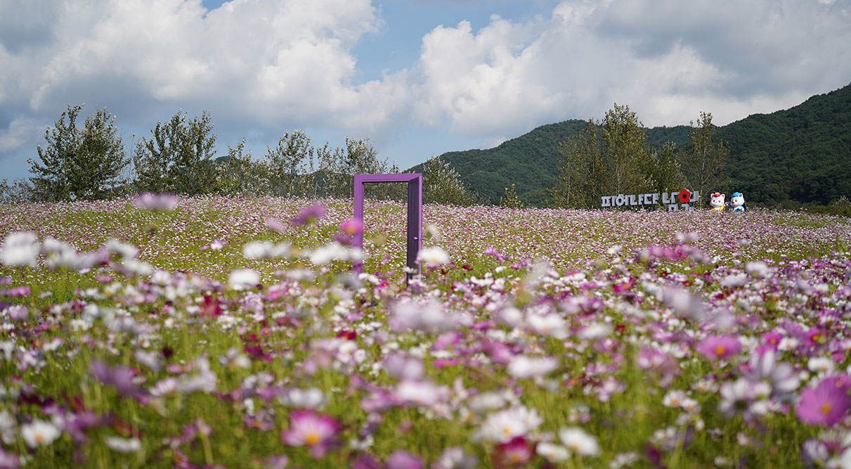 지리산허브밸리 사진 4