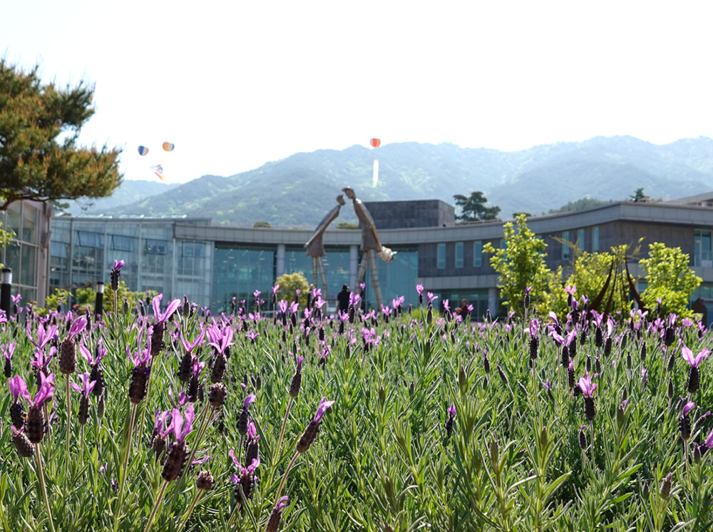 지리산허브밸리 사진 5