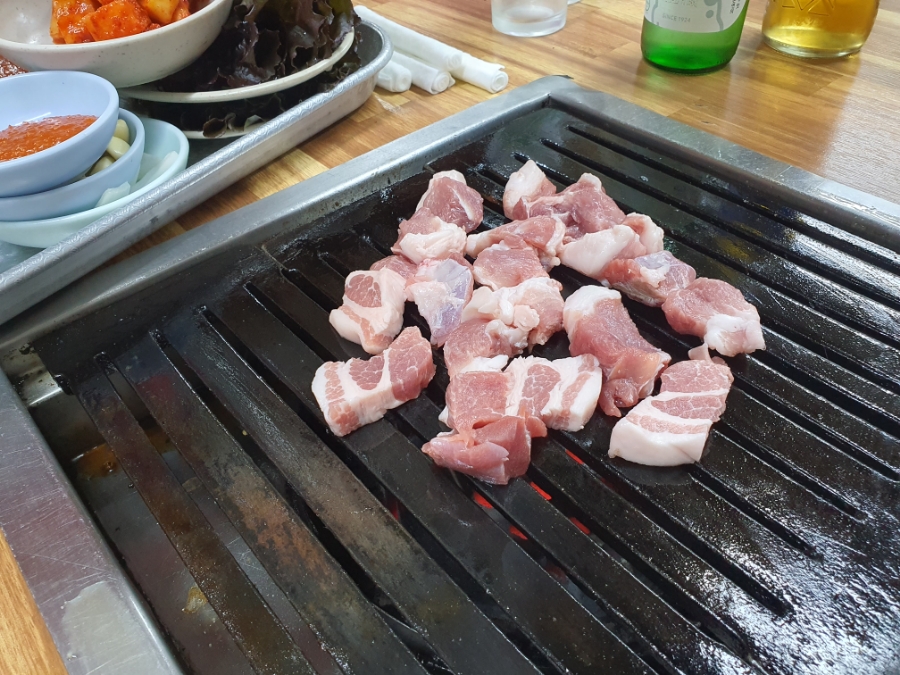 고바우 사진 1