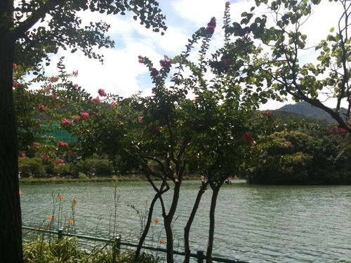 수성못 사진 4