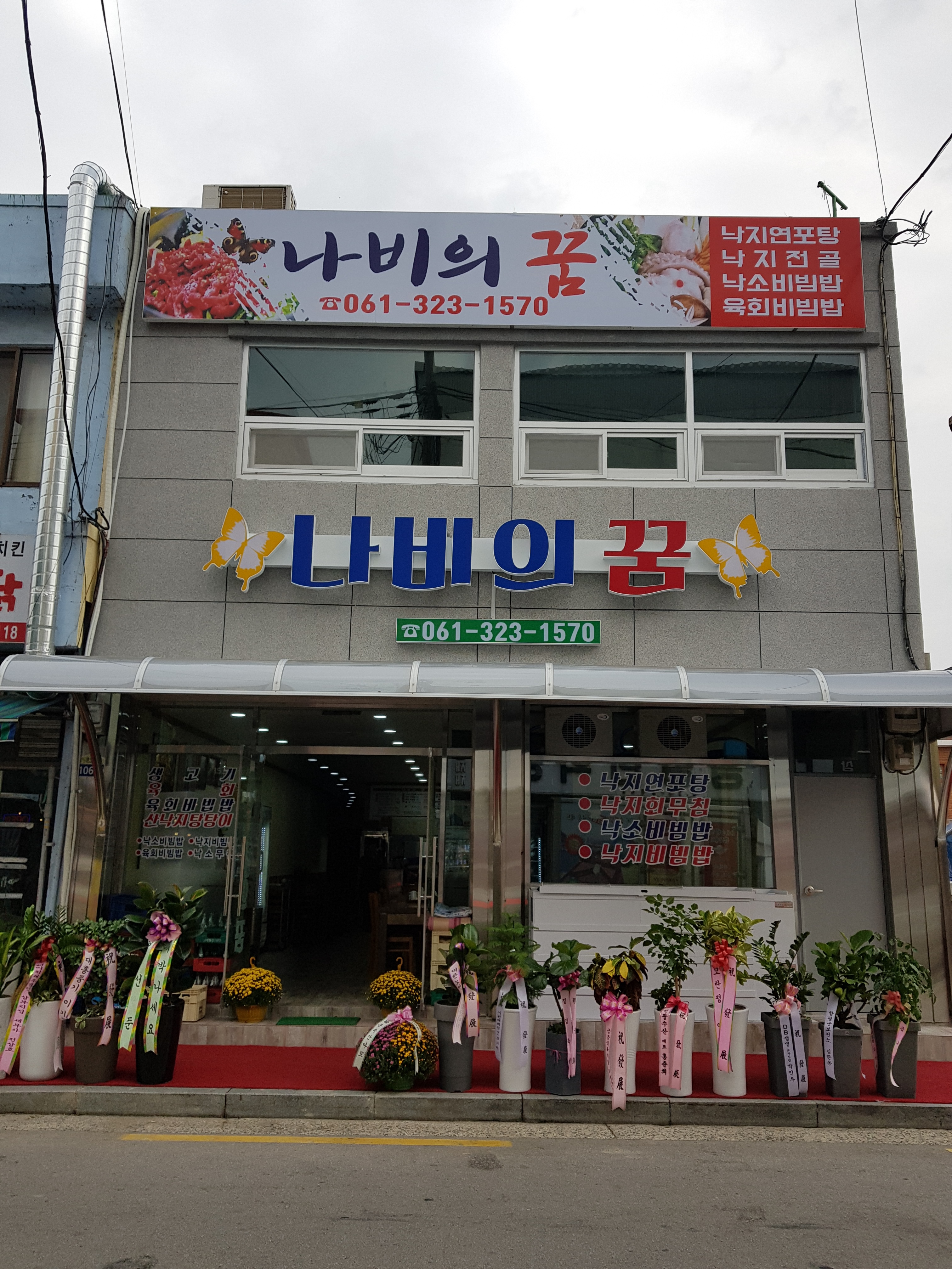 나비의꿈 사진 1
