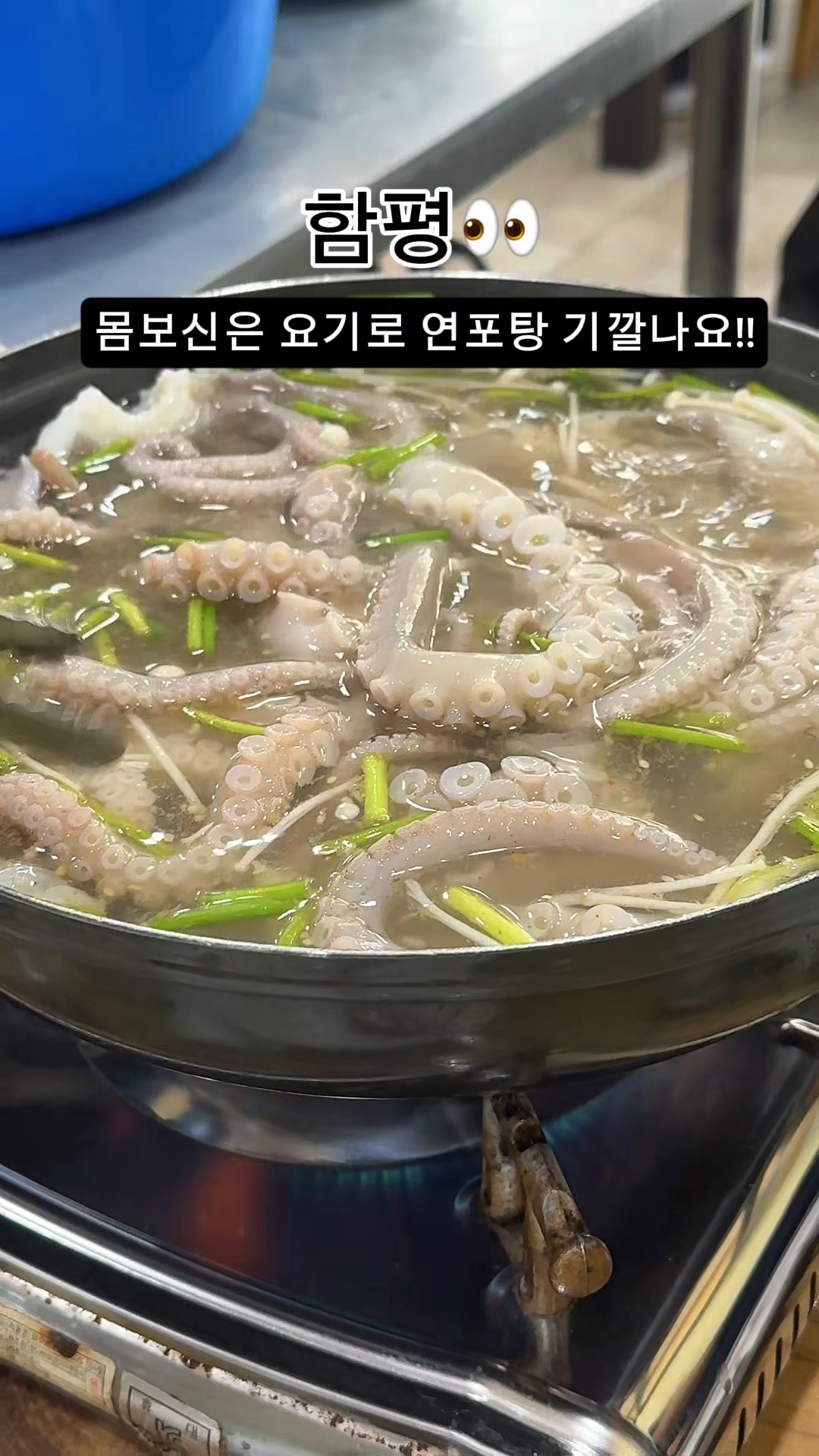 나비의꿈 사진 2
