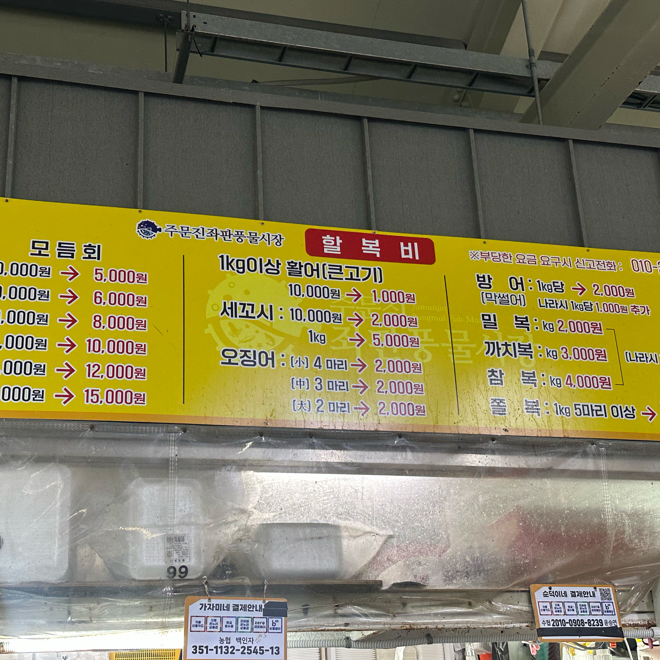 주문진항 사진 3