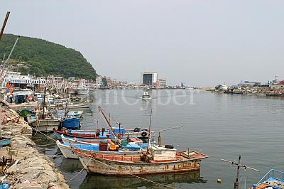 강구항 사진 1