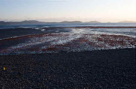 동막해변 사진 1