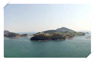 저도 사진