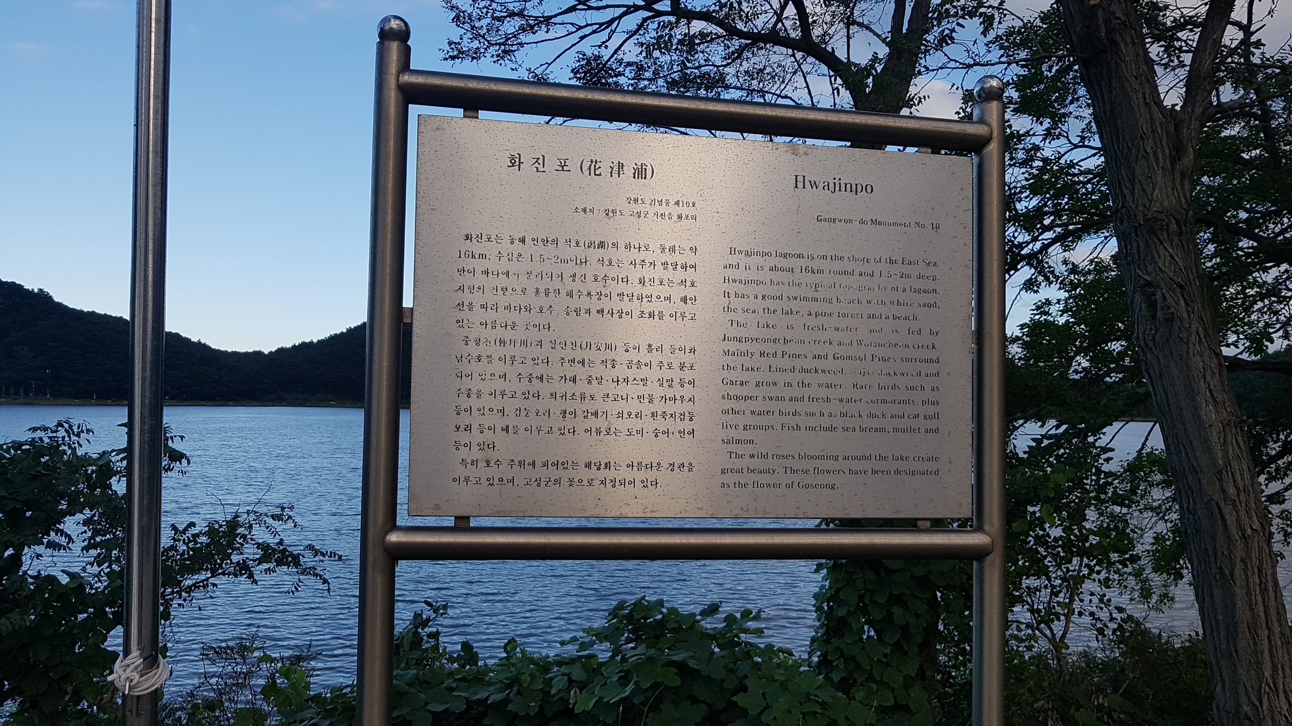 화진포 사진