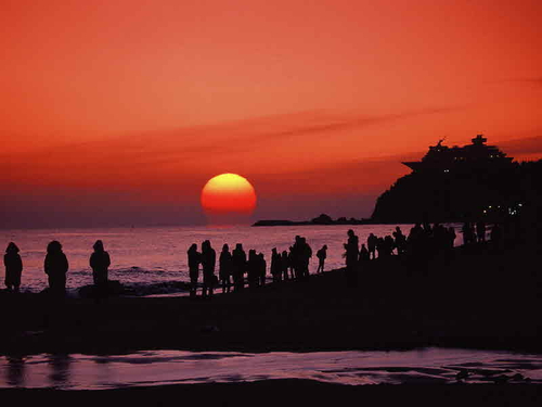 정동진 사진