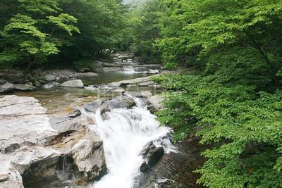 구천동 계곡 사진