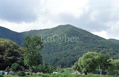 광교산(시루봉) 사진 1