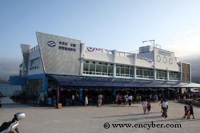 동명항 사진 1