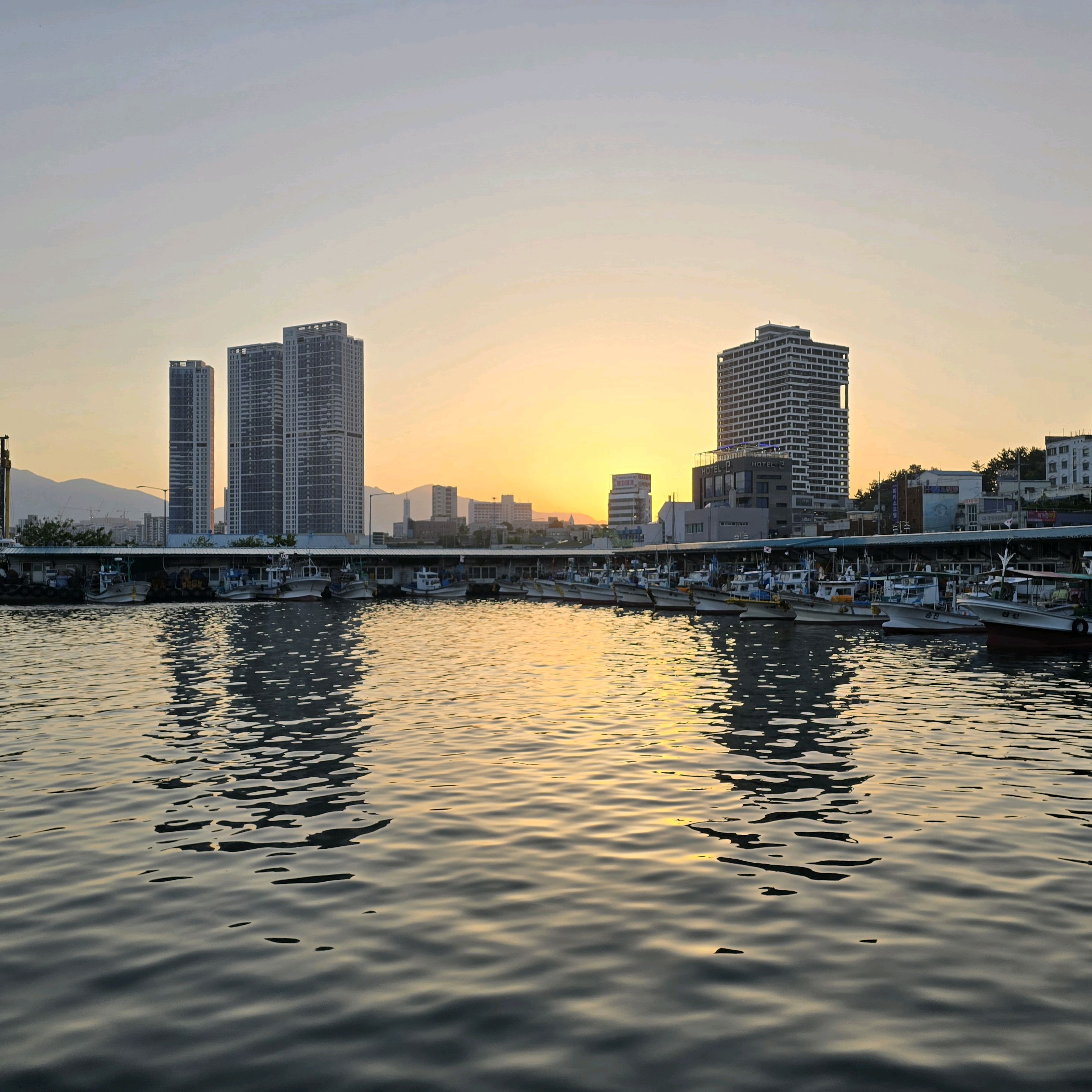 동명항 사진 2