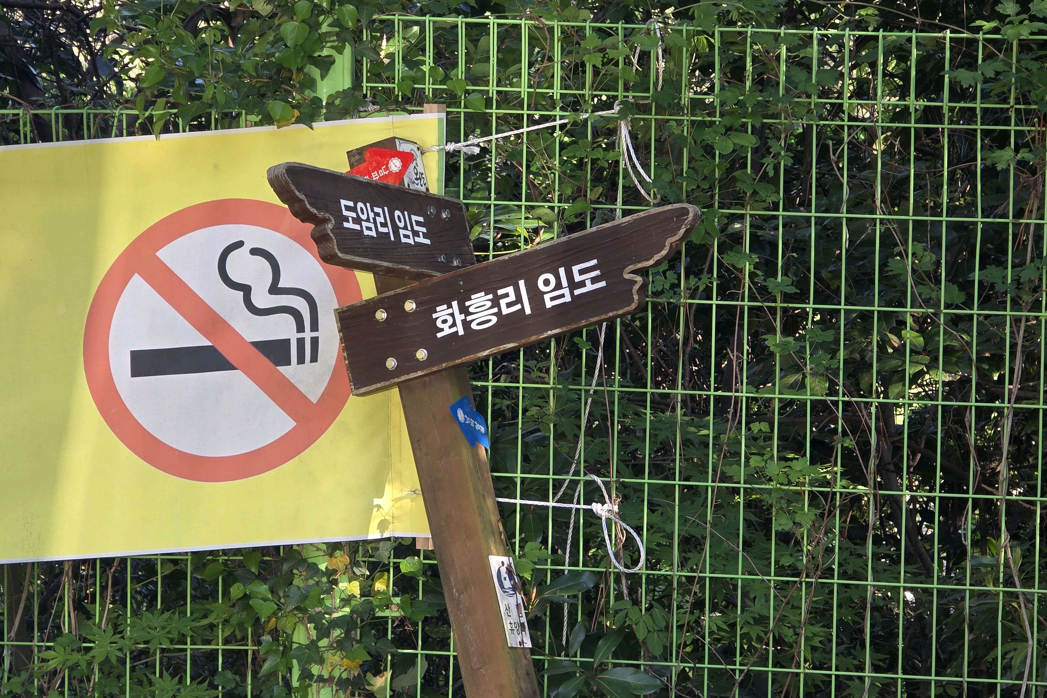 완도 사진 3