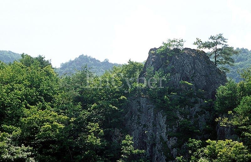 강천산 사진