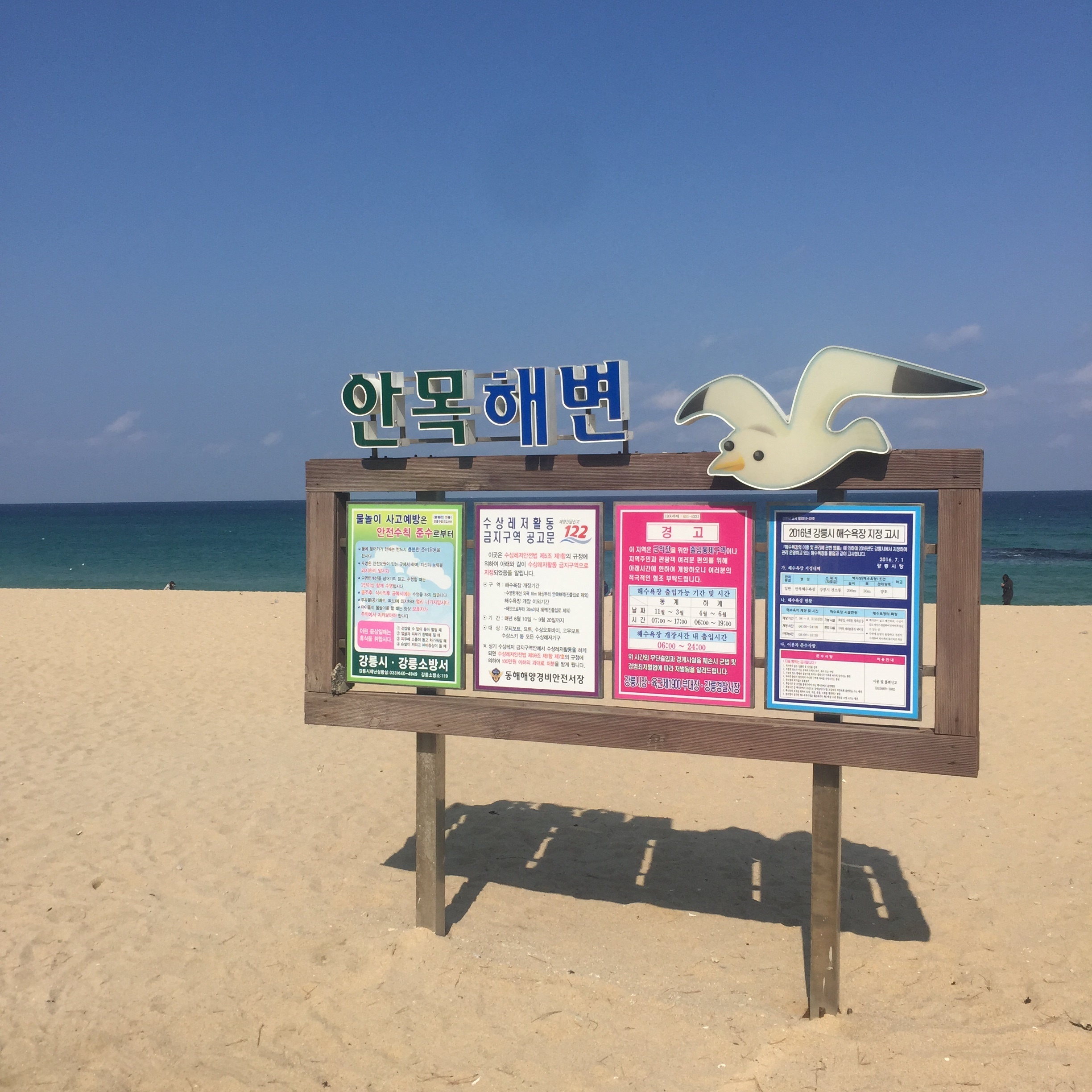 안목해변 사진 2