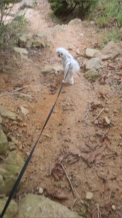 호룡곡산 사진 3