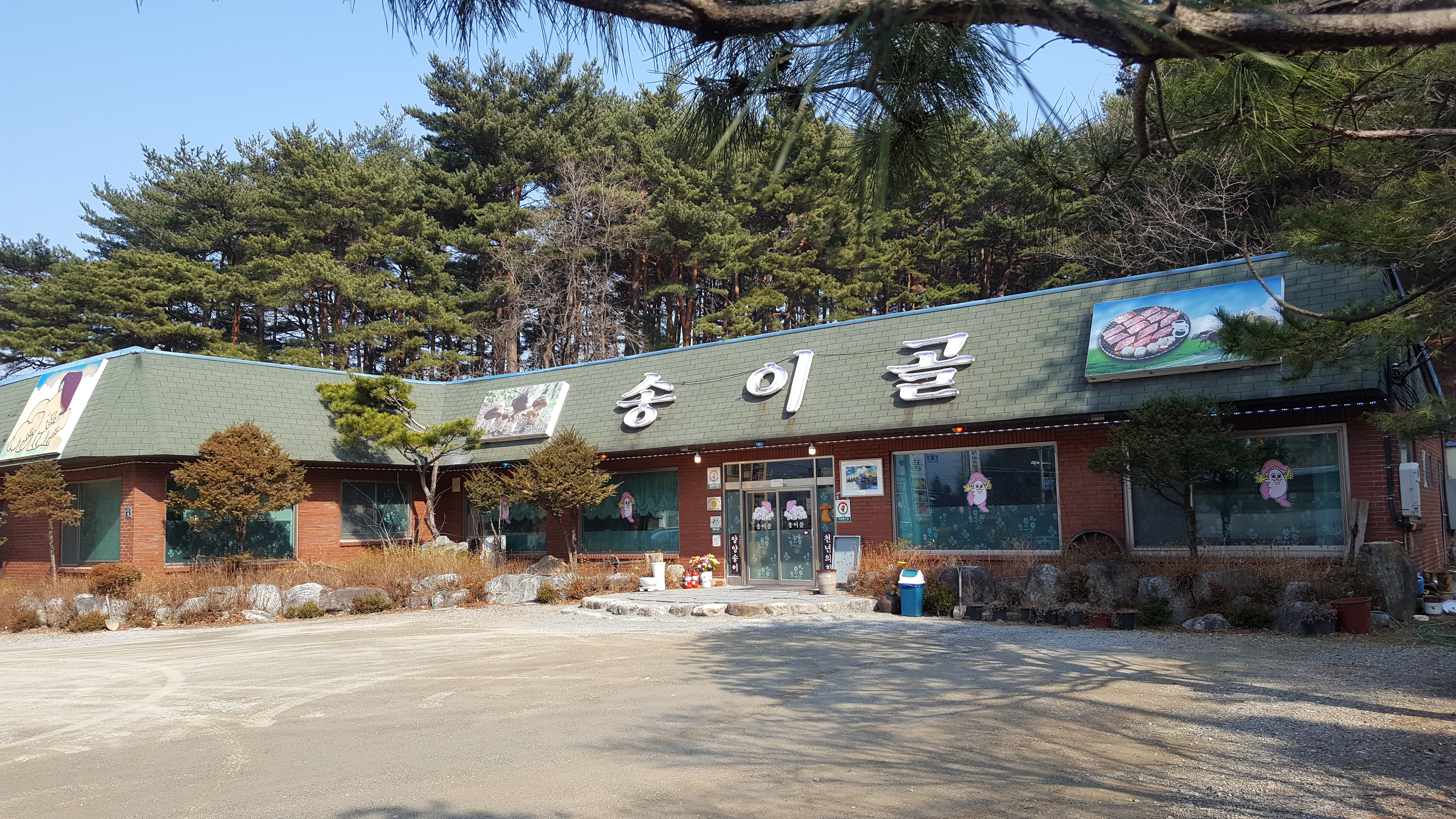 송이골 사진 1