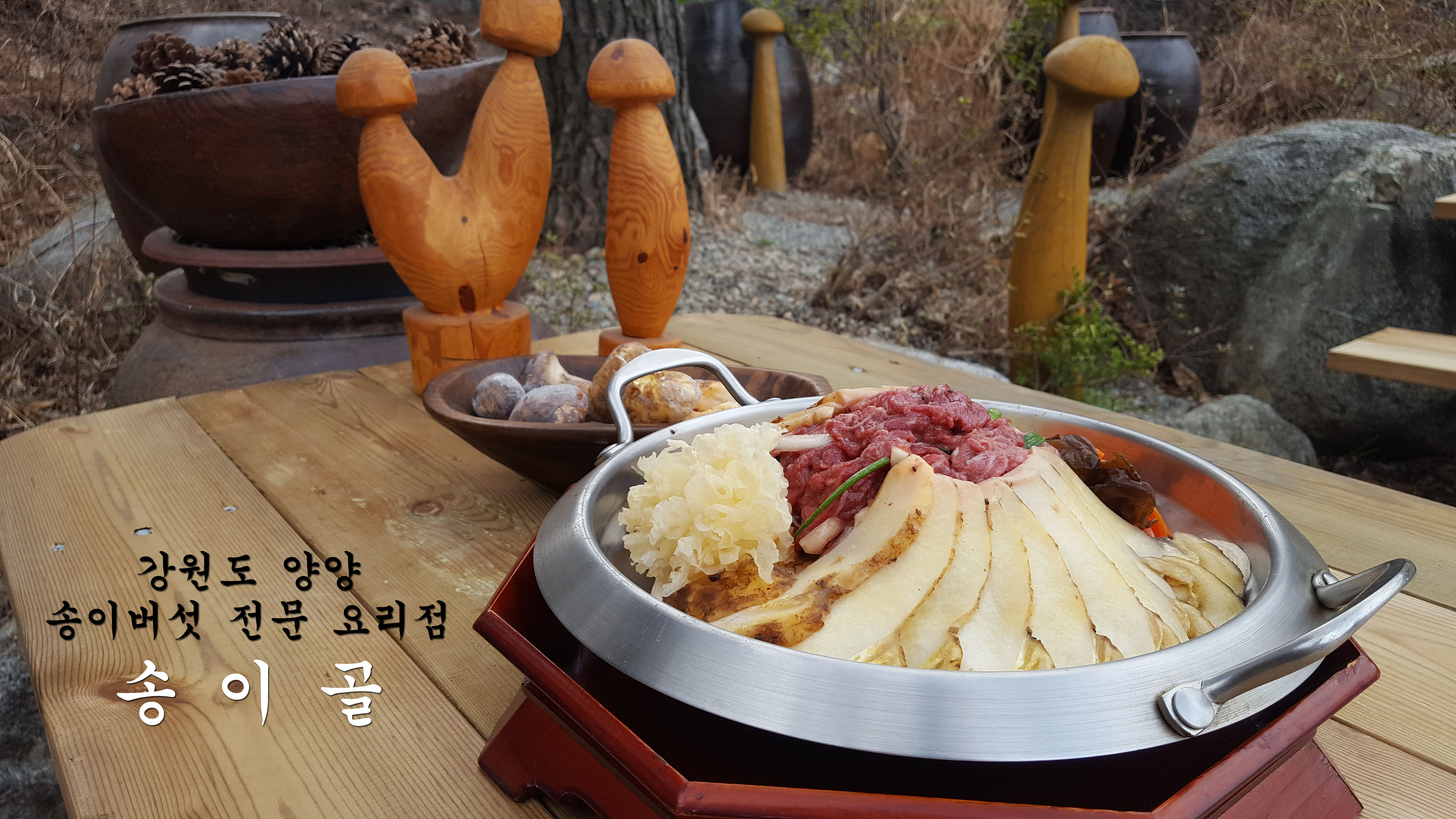 송이골 사진 3